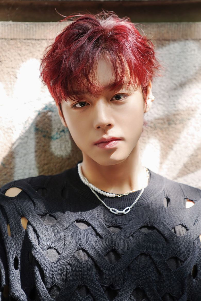 Idols' Ideal Types Compilation: Park JiHoon