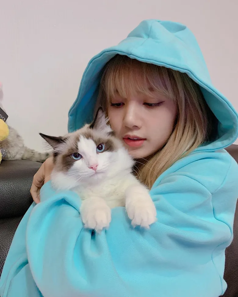 How Much Does BLACKPINK Love Animals: The Pets Owned By Each Member Of The Group