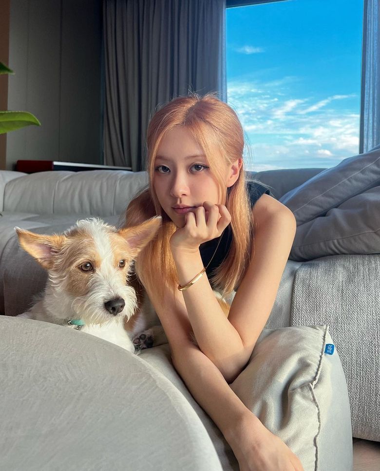 How Much Does BLACKPINK Love Animals: The Pets Owned By Each Member Of The Group