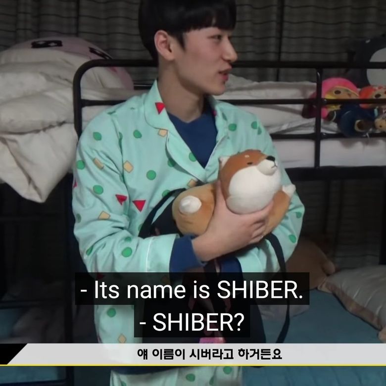  6 K-Pop Male Idols Who Loves And Collect Plushies