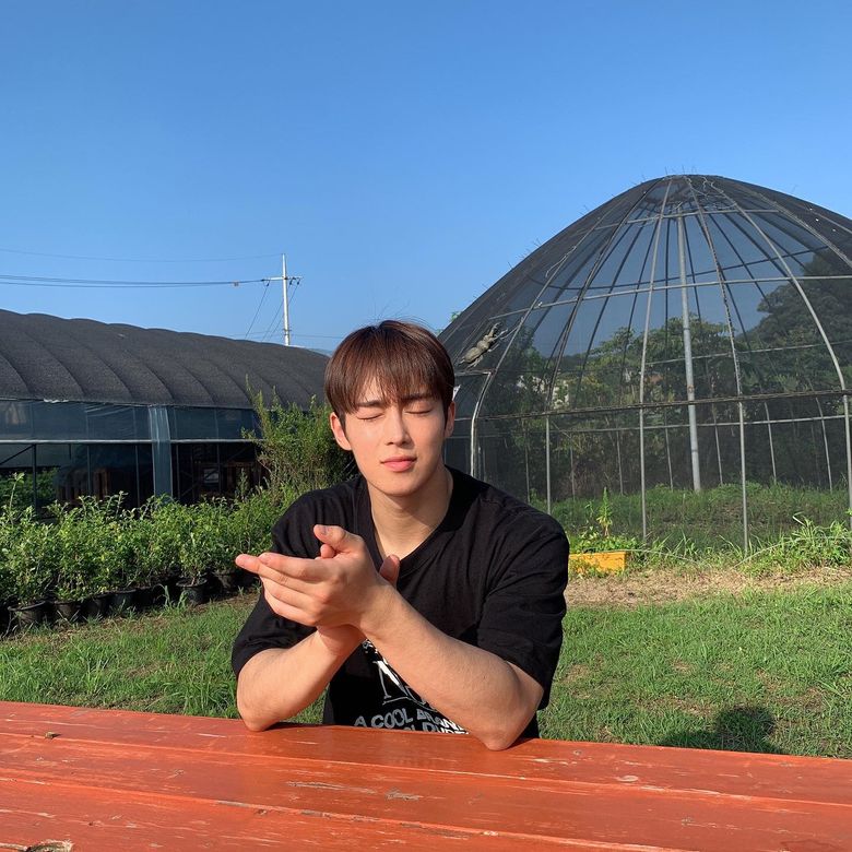Top 20 Boyfriend Material Pictures Of SF9's DaWon: The Visual Representation Of The Term "All Things Bright And Beautiful"