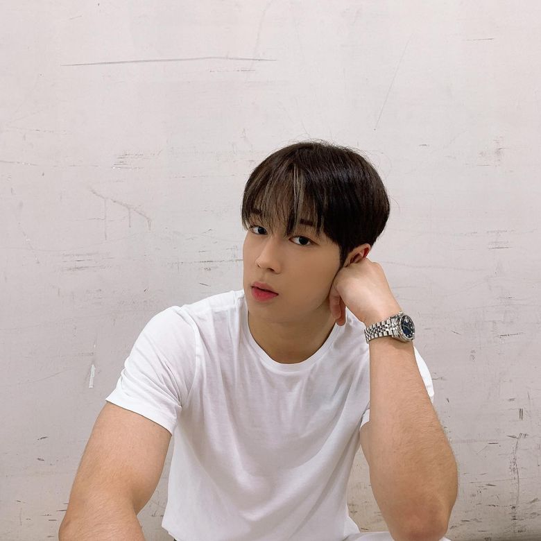 Top 20 Boyfriend Material Pictures Of SF9's DaWon: The Visual Representation Of The Term "All Things Bright And Beautiful"