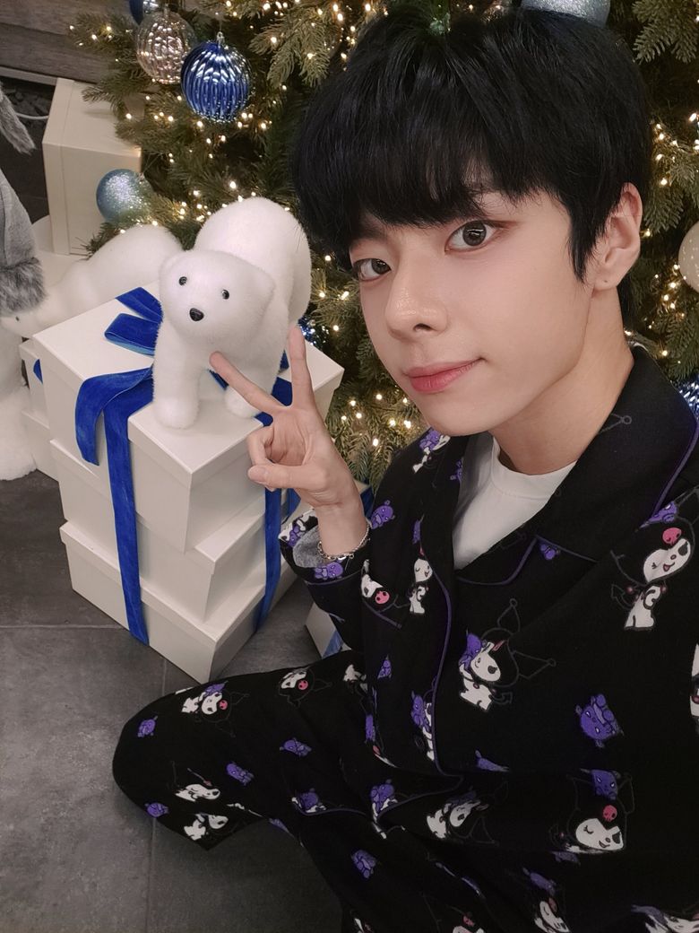  7 Male K-Pop Idols With Mystical Charms Represented By The Dragon And Unicorn Emojis