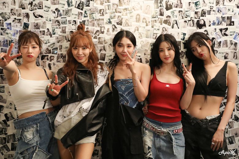  4 Heartfelt Lyrics From Apink's Newest Title Track 'DND'