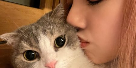 Blog 28 2190 featured